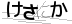 CAPTCHA